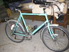 Vintage Raleigh Massif 23in