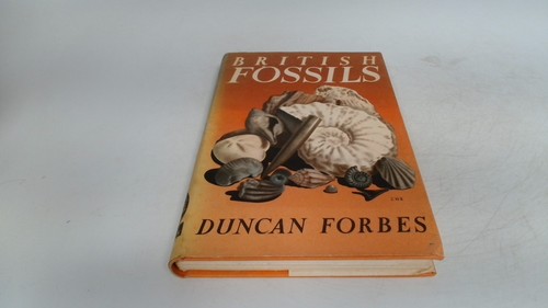 British fossils duncan - fossils,,