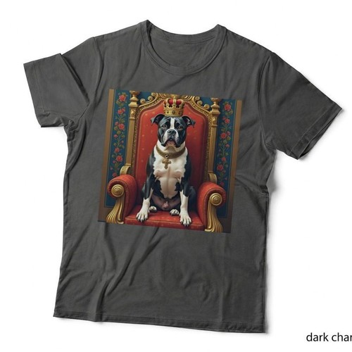 Royal pocket american bully - royal,