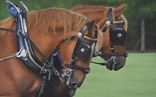 Suffolk Punch Horse print from