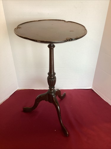 Antique mahogany plant - mahogany,