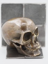 Anatomical Skull - Gothic