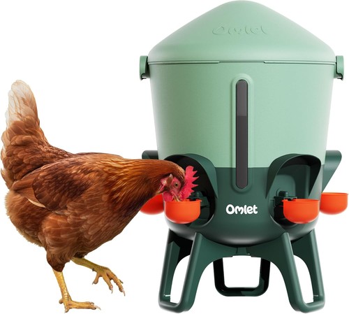 3gal omlet insulated chicken - 3gal,