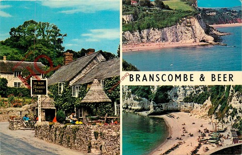 Picture postcard branscombe - postcard,,