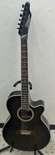 Takamine 108 electric - takamine,