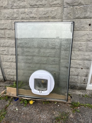 Glass frame with cat - glass,