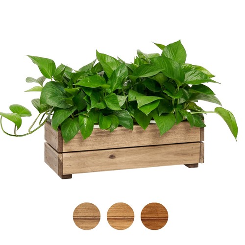 Wooden planter box 6 x - box,