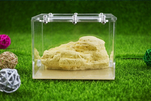 Ant observation box - box, nest
