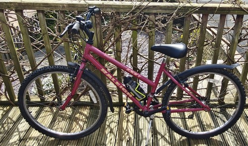 Raleigh zest endurance - raleigh, series