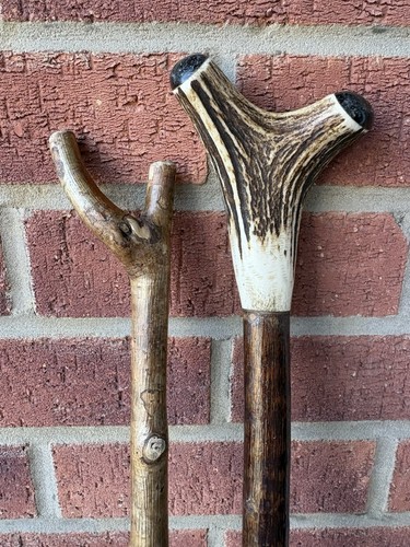 Pair vintage staghorn - pair,