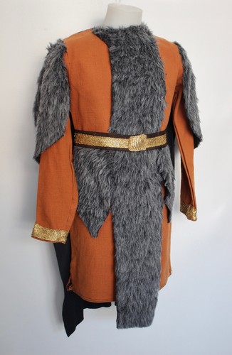 Childs viking fancy - viking, dress