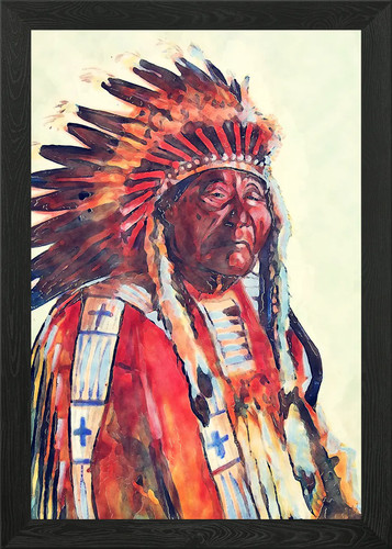 Native american framed - american,