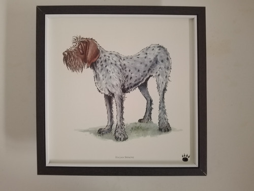 Bryn parry dog - dog, print