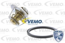 New Thermostat, coolant for
