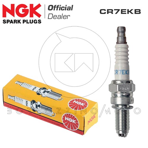 Ngk cr7ekb gilera - ngk, nexus
