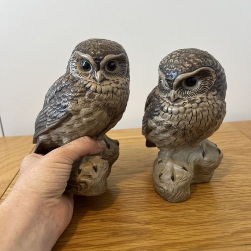 Poole pottery barbara - poole,