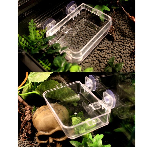 Transparent reptile terrarium - transparent,