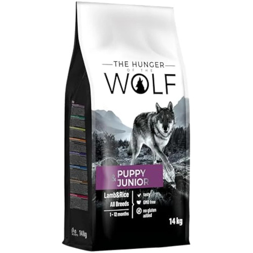 The hunger wolf - wolf, dog