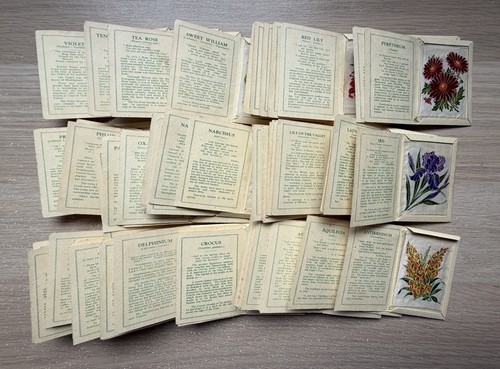 Complete set kensitas wix - kensitas,