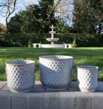 Diamond Metal Dolly Tub Plant