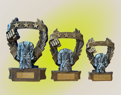 Martial arts resin - martial,