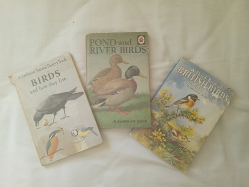 Ladybird books birds how - 3, of