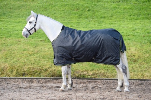 Masta mediumweight horse - mediumweight,