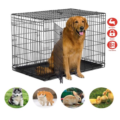 Dog cage puppy pet - dog,