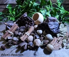 Large botanical enrichment box - botanical,