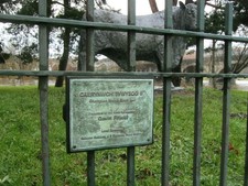 Photo A2 Bull behind bars Builth Wells/Llanfair-Ym-Muallt The plaque on c2015