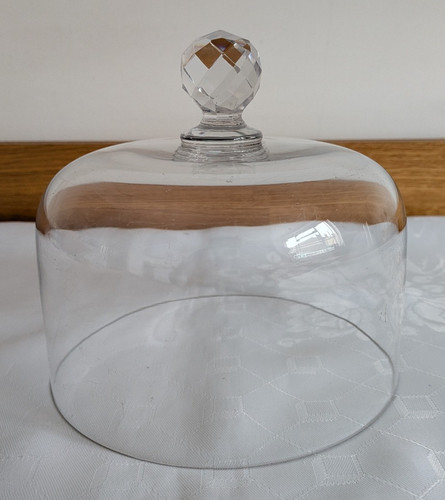 Vintage glass dome display - dome,