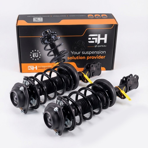 Gas complete struts - 2x,