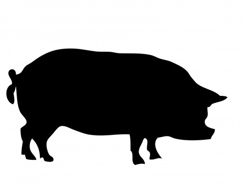 Vinyl pig decal sticker multi - pig,