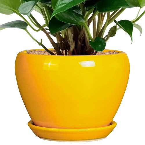 Ceramic pot for plants - pot, 6
