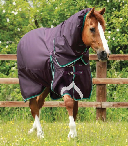 Premier equine buster 200g - premier,