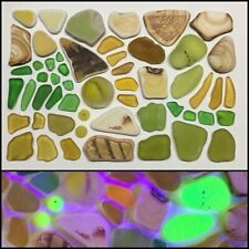 Genuine Sea Glass and Sea