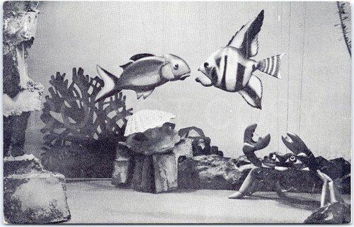 Vintage postcard underwater - vintage,