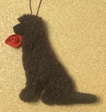 IRISH WATER SPANIEL with a RED