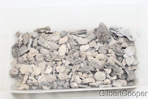 Oneida indian lead scrap - oneida,