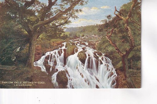 Swallow falls london north - swallow,