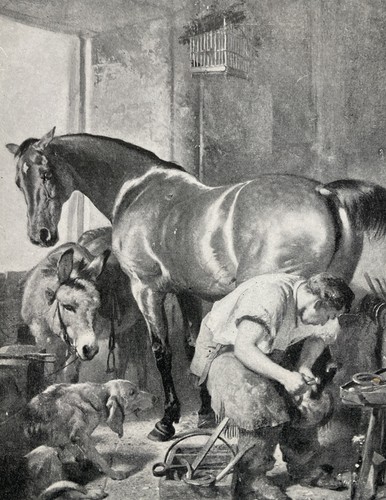 Shoeing the horse antique - shoeing,