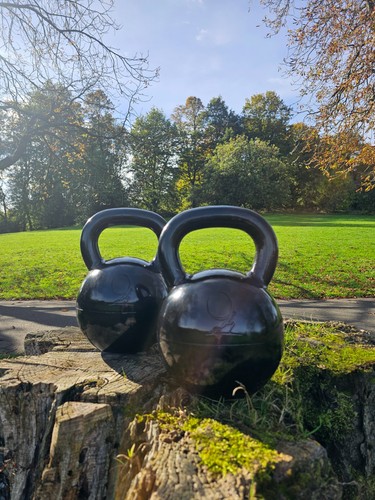 Pair 32kg omnibell - pair, of