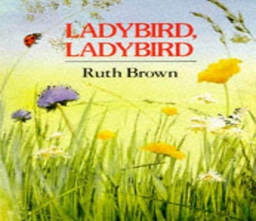 Ladybird brown - ladybird,, by