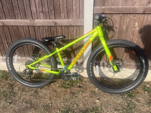 Cannondale cujo disc - cannondale, 24"