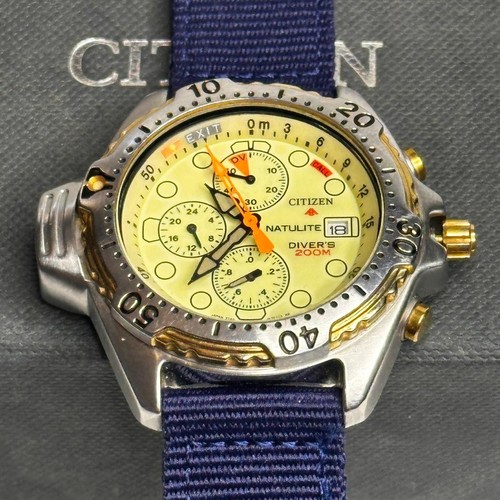 Vintage citizen promaster - vintage,