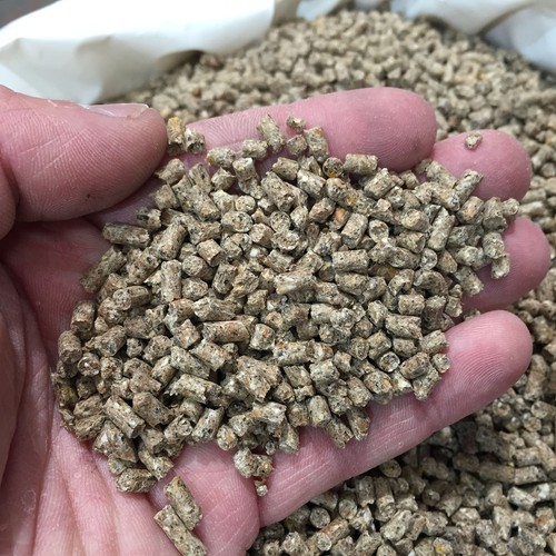 20kg chicken layers pellets - 20kg,