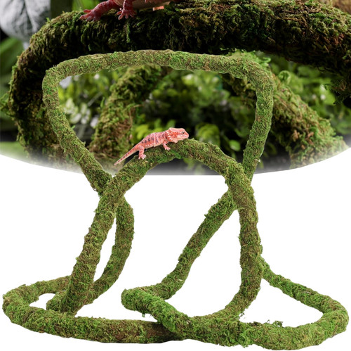 Moss vine for reptiles - for,