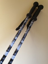 Techno Pro, Technopro, Ski