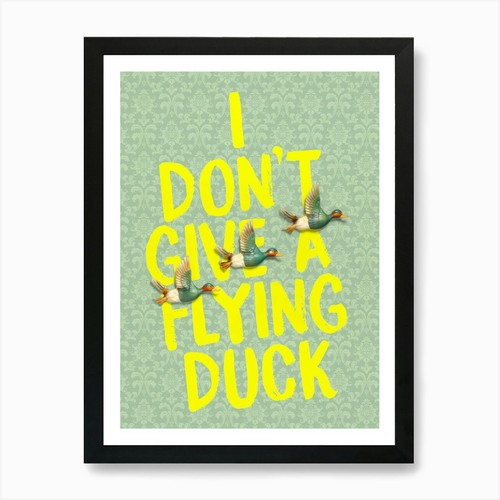 Don give flying - don't, duck