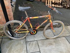 Raleigh Mustang Bike